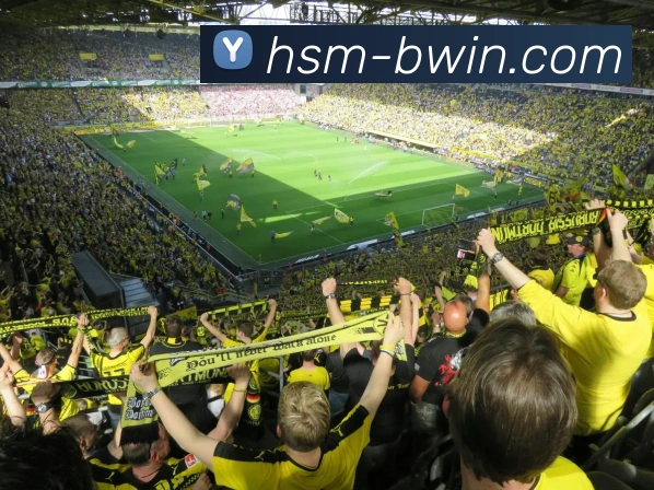 App Interface Preview