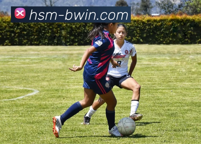 必赢体育官网APP 封面图